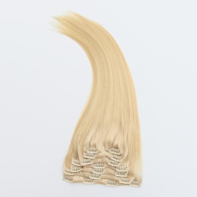 China XDhair Silky Straight Wave 100 Grams 8 Pcs Per Set Color 60 Platinum Blonde Double Ended Wholesale Price Clip In Indian Hair Extensions for sale