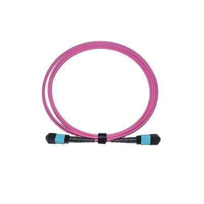 China Fiber Distribution Frame Abalone Manufacturing MPO/MTP Fiber Optic 12/24/48 Multimode Fiber Optic Patch Cord for sale