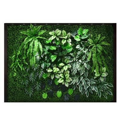 China Professional Traditional Artificial Green Wall Design Factory Lawn Panel Plastic for sale