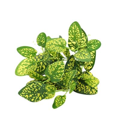 China Traditional Plant Wall Panel Outdoor Artificial Grass Plant Wall for sale