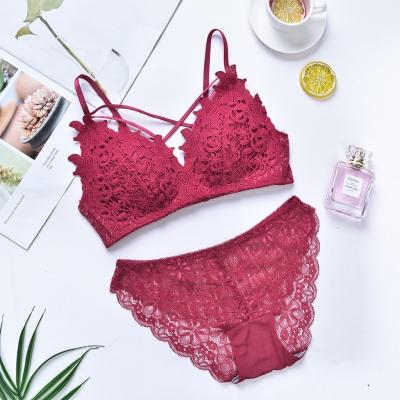 China Antibacterial manufacturers launch new products Europe and America embroidered sexy lace girl bra underwear bra set for sale