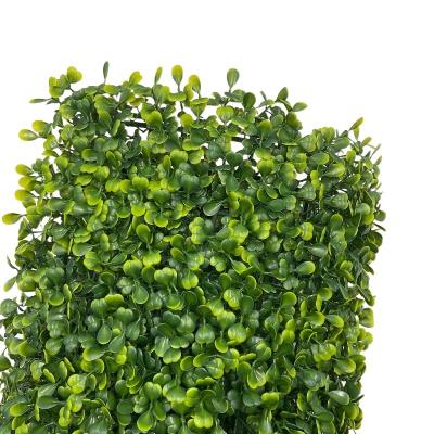 China Durable Chinese Artificial Grass Wall Indoor Artificial Grass Wall for sale