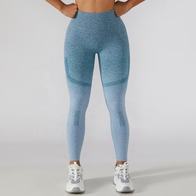 China Breathable Free Sampling Dongguan Gradient Color Seamless Mesh Leggings Gym Wear Yoga Clothing and Fitness Clothing for sale