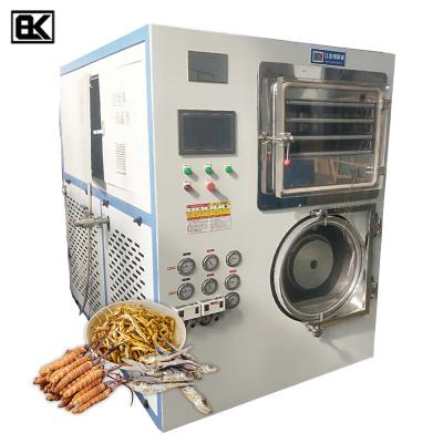 China Medicine Processing 20kg 2 Square Sublimation Condensation Freeze Dryer Freeze Drying Machine for sale