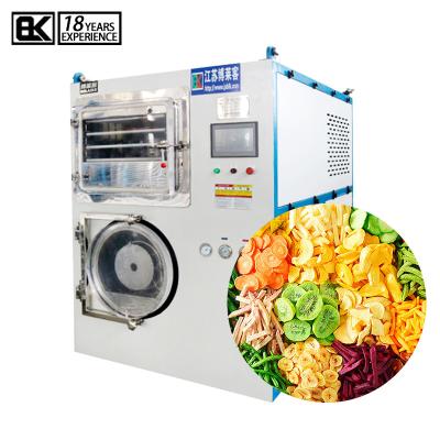 China Medicine Curing Product Pet Food Processing Machines Hot Selling Dog Cures OEM Full Automatic Freeze Drying Machine for sale