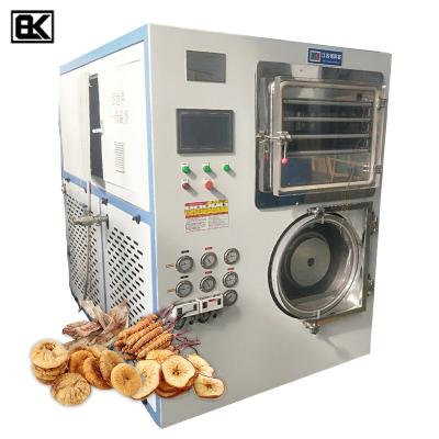 China Medicine Curing Manufacturer Supply Commercial Automatic Vacuum Drying Freeze Dryer Industrial Fruit Freeze-Dryer 20kg Price for sale