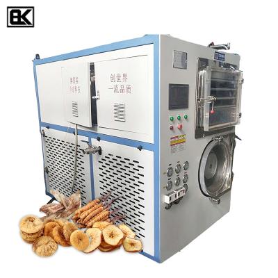 China Medicine Curing Professional Industrial Automation Circulating Water Freeze Dryer Vacuum Cooling Freeze Dryer Machine 20kg for Food for sale