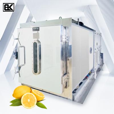 China Medicine Processing New Latest Automatic Meat Fruit Freeze Dried Dog Treats Pet Food Freeze Drying Machine Freeze Dryer for sale