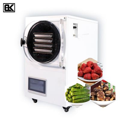 China Medicine Curing Vacuum Food Freeze Dryer Mini Price Top Selling Cranberries Cocoa Powder Coffee Strawberry Freeze Home Dry Machine for sale