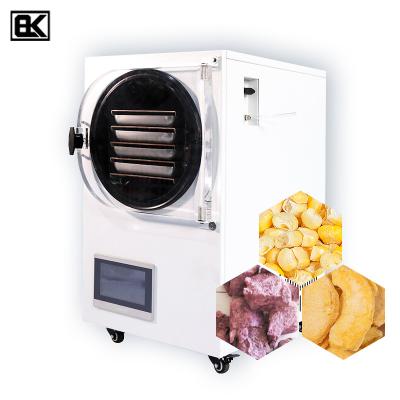 China Medicine Processing Reasonable Price Freeze Dried Fruit Instant Potato Cabbage Powder Juice Radish Longan Tea Home Mini Freeze Drying Machine for sale