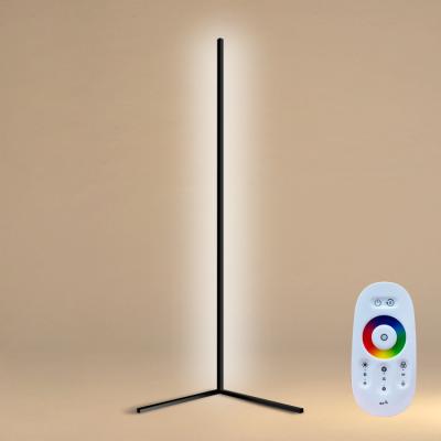 China Modern Bedside Lamp Smart Home Lights RGB Remote Control Rechargeable LED Floor Lamp RF LED Light Hot Selling for sale