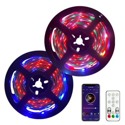 China Residential Led Strip Light RGB IC Color Changing Wifi Strip Light With Remote Control For Home Party for sale