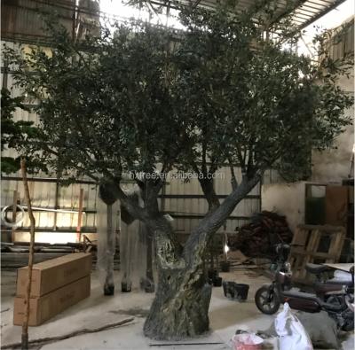 China Tall simulation olive tree trunk artificial evergreen fiberglass olive tree for hotel decor for sale