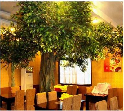 China Artificial Ficus Tree Banyan Tree Outdoor Decoration Large Outdoor Tree for sale