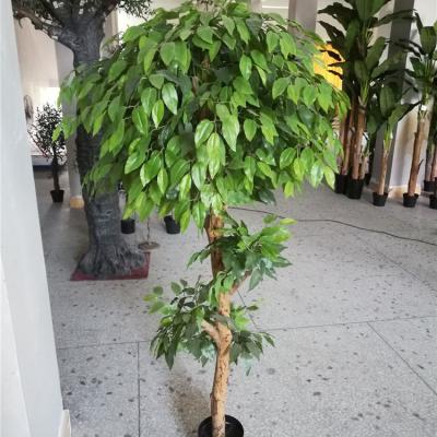 China Environmental Friendly Plastic Artificial Ficus Tree Banyan Plants Outdoor Plant for sale