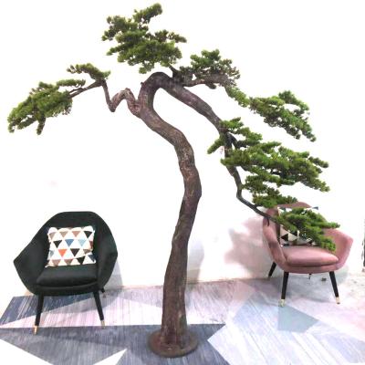 China Real plant indoor/outdoor plastic artificial pine decoration touch green needle leaves tree indoor outdoor decoration for sale