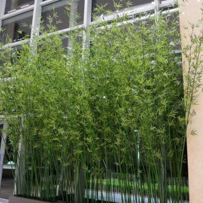 China Environmental friendly artificial bamboo fencing artificial bamboo leaves fake bamboo tree for home&garden decoration for sale