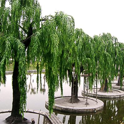 China Custom Artificial Weeping Arbol Willow Tree Branch Simulation Plant Drooping Leaf Modern Garden Decoration Small Large Fake for sale