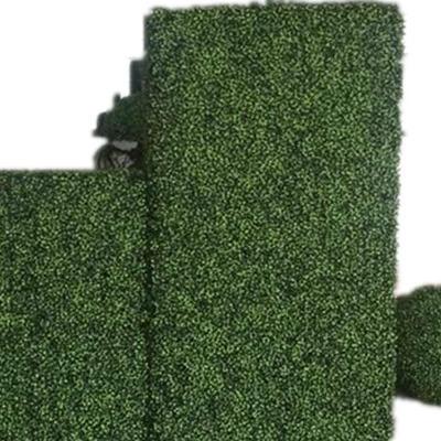 China Factory Direct Sale Materials Plants Eco-Friendly Artificial Boxwood Hedge Grass Wall Green Wall for sale