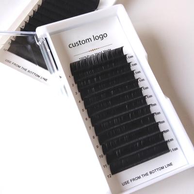 China Wholesale Natural Classic Volume Eyelashextension Lash Eyelash CC D Dual Density Curl Fast Selling Lashes Sensitive Silk Volume Supplier for sale