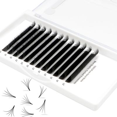 China New Delicate Synthetic Volume Fake Lashes OEM, Real Silk Lashes, Easy Fanning Eyelash Extension for sale