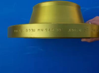 China Customizable P250GH Forged Flange for High Pressure Applications for sale