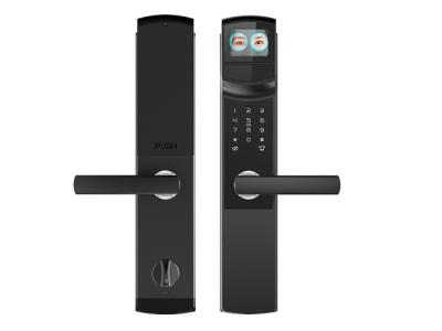 China Smart Iris Lock: 33-50cm Recognition Distance, Automatic Illumination Compensation for sale