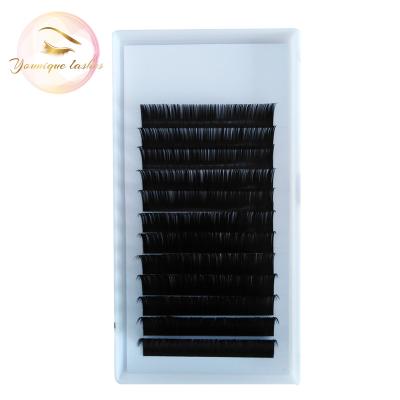 China Natural Long Grafting One Second Bloom Flower, Eyelash Volume Extensions, Auto Fan Person Lashes Private Label for sale