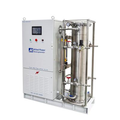 China 400V Hotels Reverse Osmosis Systems Water Treatment Ozone Generator for sale