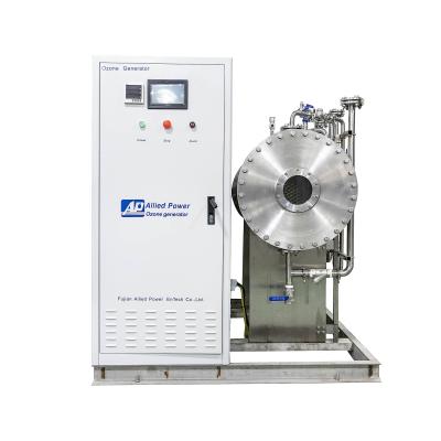 China Factory China Ozone Water Purifier By Ozone Machinery For Ozone Generator Farm for sale