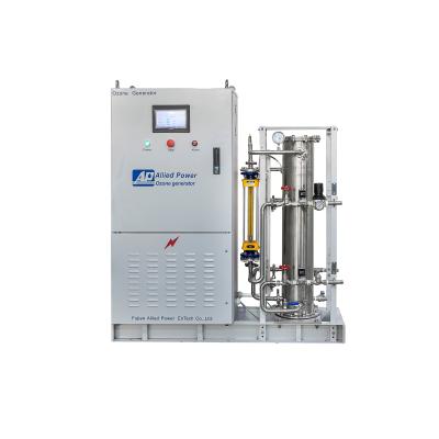 China Factory 500g Ozone Generator Water Treatment With Ozone Generator Water Laundry for sale