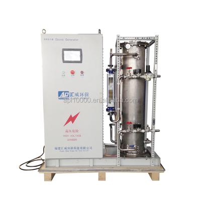 China food & Factory 500g Beverage Ozone Generator For Aquaculture Water Killing Bacteria for sale