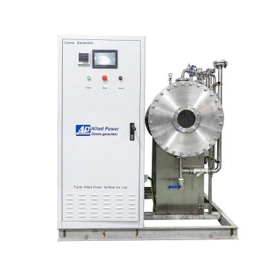 China Plant ozonator 40g/h 50g/h 60g/h for sale