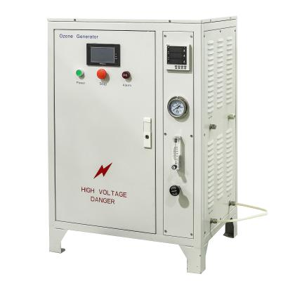 China Plant Oxygen Plant Ozone Generator 20g For Water Treatment for sale