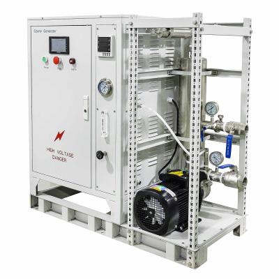 China Hotels Complete Ozone Water Machine For Industrial Vegetable And Fruit Washing for sale