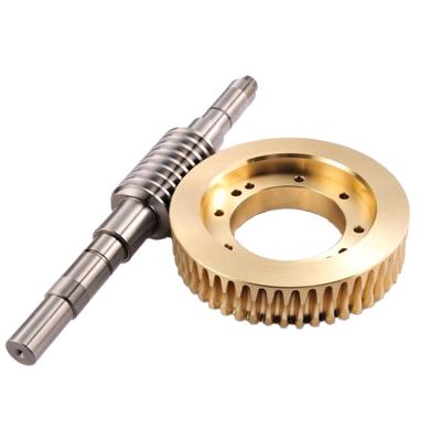 China Automobile Factory Customize CNC Precision Worm Gear And Machining Worm Wheel for sale