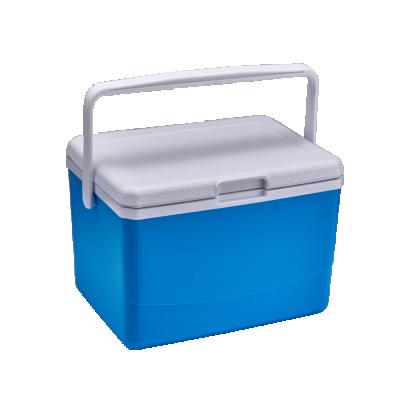 China Wholesale 5L Insulated Plastic Cooler Box With Handle for sale