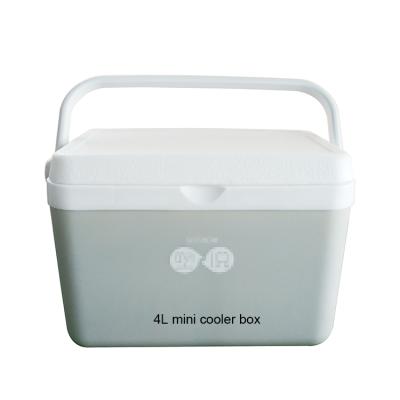 China 4L Waterproof Custom Color Logo Printing Picnic Portable Ice Cream Container Camping Plastic Mini Ice Cooler Box for sale