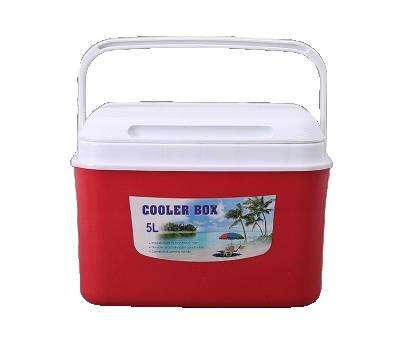 China Thermal Mini Traveling Cold Ice Useful Box Cosmetic Fast Delivery Cooler Box 5L for sale