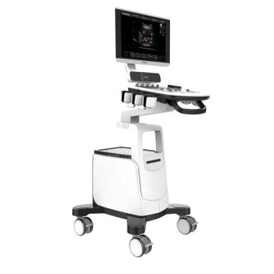 China 2d plastic full screen mode Beef Chison ultrasound machine with 15 inch high resolution led monitor for sale