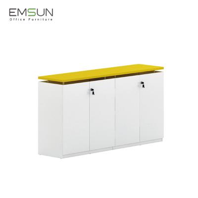 China PANEL Hanging Steel Office Equipment Vertical Swing Sliding Door Filing Cabinet for sale