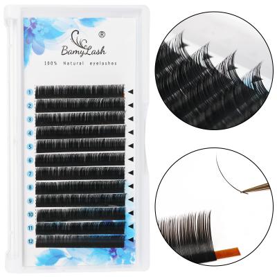 China Classical Indivusual Fiber Eyelash Extension Tray Natural Soft Korean Premium False Volume Russian Tapered Wick for sale