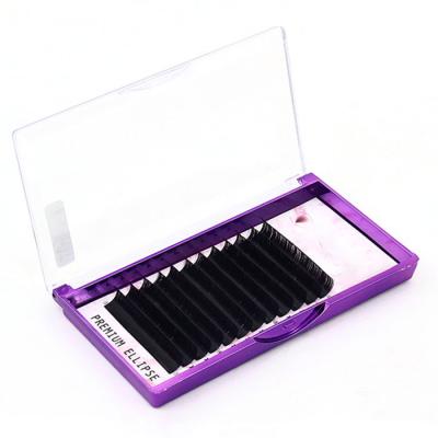 China Custom Korean Wholesale Full Volume Private Label PBT Fiber Volume Pre Made Easy Fan 0.07mm D Curl Eyelash Lashes Extensions for sale