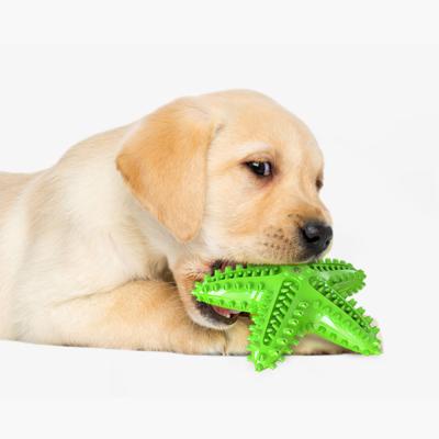 China New Pet Chew Toy Dog Toy Pet Starfish Interactive Toys Dog Viable Rubber Interactive Toothbrush for sale