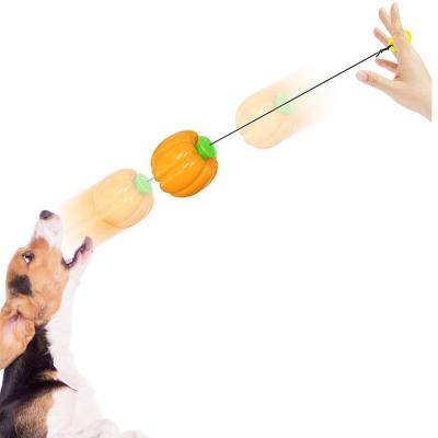 China Amazon Sustainable Hot Selling New Pumpkin Train Toy Outdoor Training Interactive Tennis Ball Dog String Toy for sale