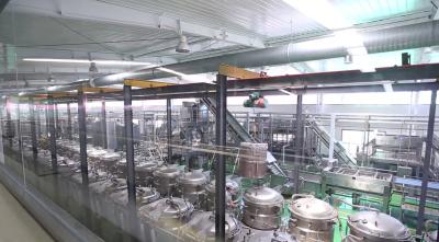 Cina Attrezzatura di trattamento del latte della latteria dello sterilizzatore UHT della metropolitana del commestibile completamente automatica in vendita