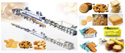 China Soft And Hard Biscuit Processing Line , Commercial Automatic Cookie Making Machine for sale