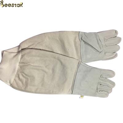 China Bee Farm Canvas Vented Beekeeping Gloves Safety Leather Sheepskin Gloves for Beekeeper Raising for sale