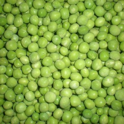 China High quality frozen peas FROZEN for sale