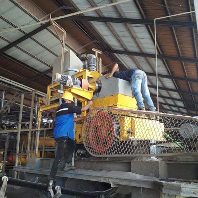 China GS1000 Roller Crusher Automatic Clay Brick Production Line Fits Less Than One*20' Container for sale